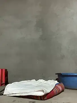 Sunny lotus online show from April 1, 1:41 pm