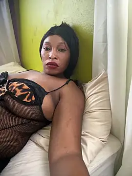 kinghtwalker online show from November 21, 12:51 pm