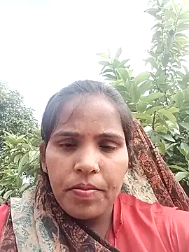 Cut rajbati online show from October 29, 8:29 am