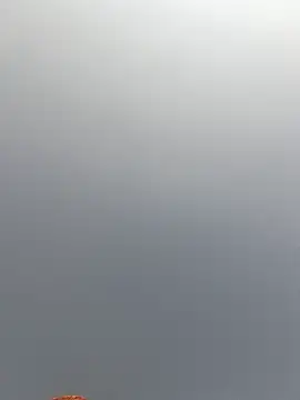 Cut rajbati online show from November 29, 6:17 am