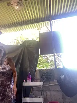 wildpussycat69 online show from April 16, 1:39 am