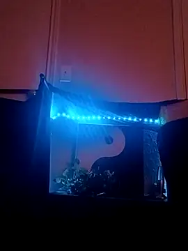 NovaVade online show from September 12, 8:45 am