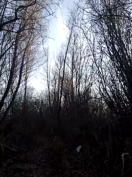 YOOUR EVAA online show from November 16, 10:59 am