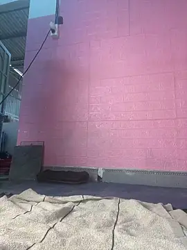 Rose 194 online show from February 24, 4:00 am