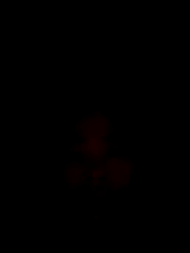 CoMay003 online show from December 15, 12:16 am