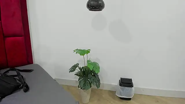 Snapshot of Mollyxketa1_ chatting on October 2, 11:21 pm Mollyxketa1 online show from October 2, 11:21 pm