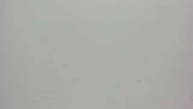 Saammy 17 online show from September 26, 9:12 pm