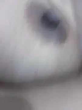 liza-212 online show from September 17, 11:08 am