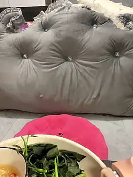 Knorr Vietnams online show from November 25, 3:25 pm