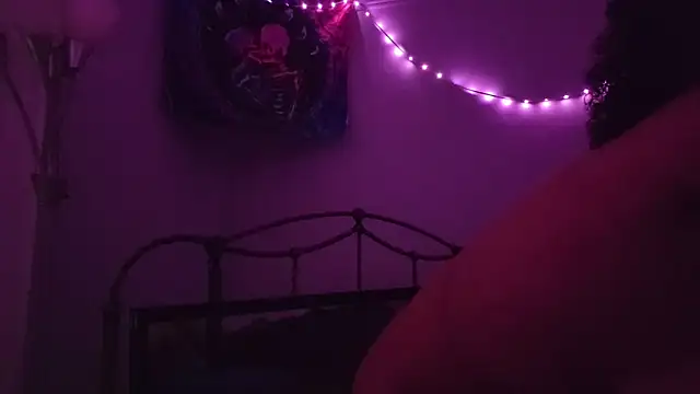 puddled wonderland online show from November 4, 4:28 am