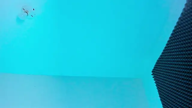 Ellope  online show from November 18, 10:00 pm