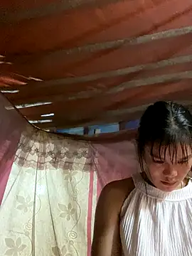 PhanHaa online show from November 8, 2:33 pm