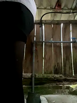 PhanHaa online show from January 6, 12:36 am