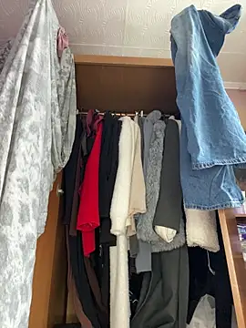 April Purr online show from April 11, 8:29 am