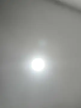 butterfly777  online show from October 9, 12:20 pm