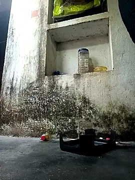 cute diya 12 online show from December 14, 2:50 am