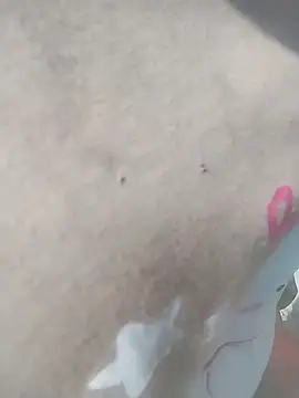 venu00 online show from April 8, 2:14 am