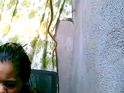 Sweeetgurll online show from November 4, 1:21 am