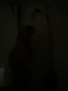 PuraTinta miau online show from February 11, 10:28 am