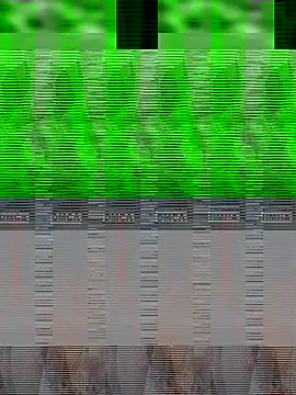 Rinki bhabhiji online show from October 31, 4:44 pm