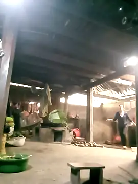 ngan-cute online show from November 23, 4:15 am