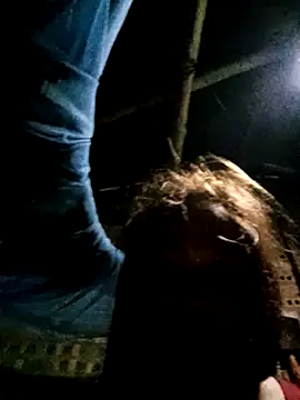 bing-bing88 online show from November 10, 11:27 am