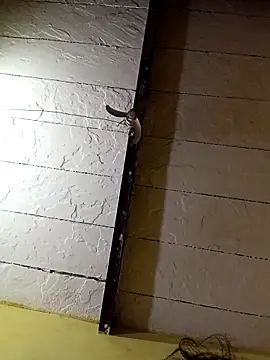 Seema guptaji online show from November 12, 11:58 pm