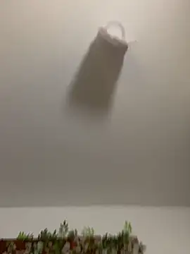 Mya lorenz online show from March 10, 10:30 am