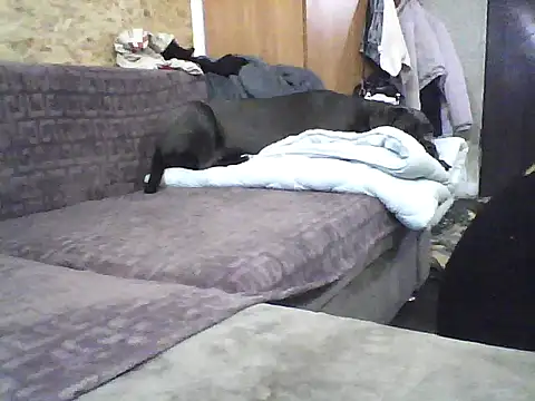 Milana38 online show from October 7, 9:46 am