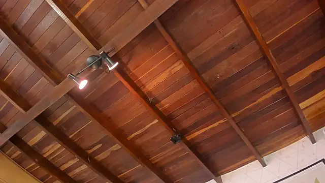 RoxyLior online show from November 3, 9:08 pm