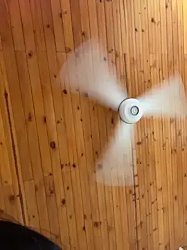 tony and katy online show from April 18, 7:07 pm