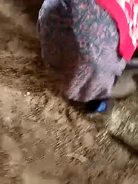 NextGenModel online show from January 19, 4:08 am