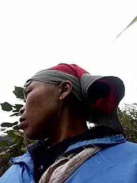 kihi-yo online show from November 19, 7:19 am