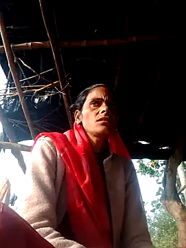 H seema online show from November 20, 3:07 am