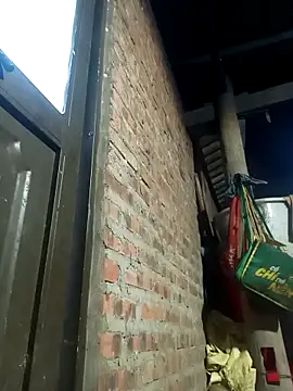 siki-00 online show from October 4, 9:26 am