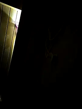 shobha lover02 online show from April 18, 9:37 pm