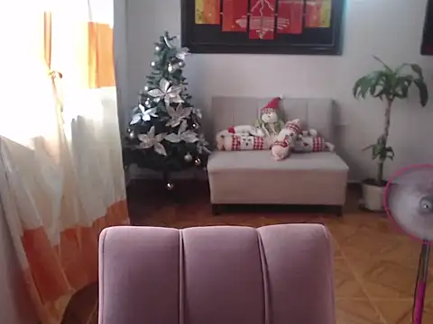 diane clark online show from November 28, 8:56 pm