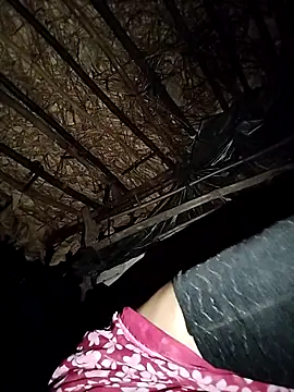 R Roshni online show from October 1, 1:27 pm