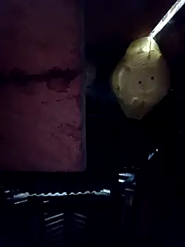 callistra online show from November 19, 2:11 am