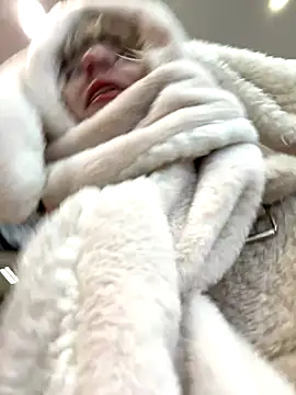 RonnieKiss online show from November 4, 6:29 am