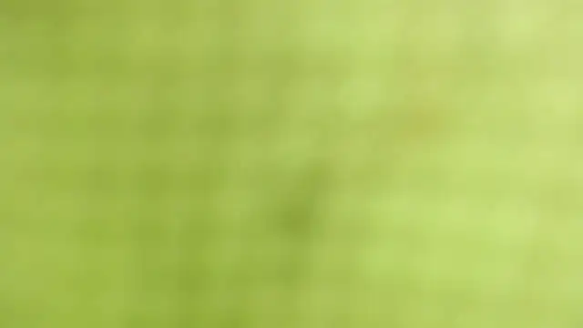 AnySugar online show from September 23, 2:32 am