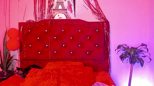 kitty  chs online show from March 1, 4:34 am