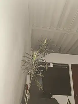 zakura Haruno online show from March 27, 1:18 am