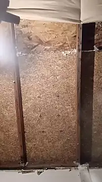 Queen2454 online show from March 8, 12:42 pm