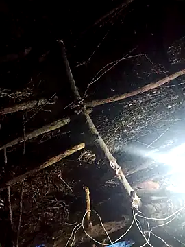 Snapshot of Janvi_tv chatting on October 8, 2:10 pm Janvi tv online show from October 8, 2:10 pm