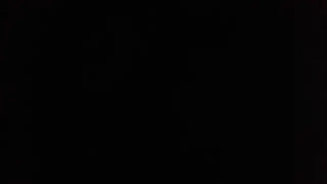 rose more   online show from November 24, 2:08 pm