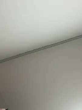 MISA 02 online show from January 9, 11:25 am