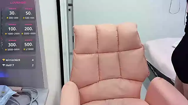 SR-WZJ online show from November 28, 2:42 pm