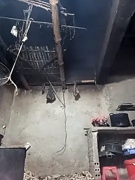 Mising5022 online show from October 25, 1:08 pm