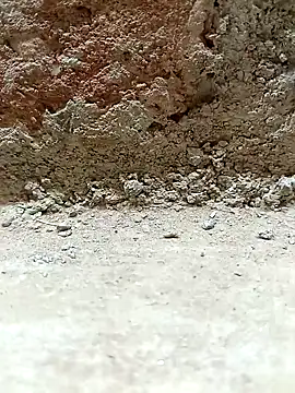 Rajni chauhan online show from March 25, 4:21 pm